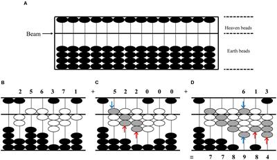 A Review of the Effects of Abacus Training on Cognitive Functions and Neural Systems in Humans